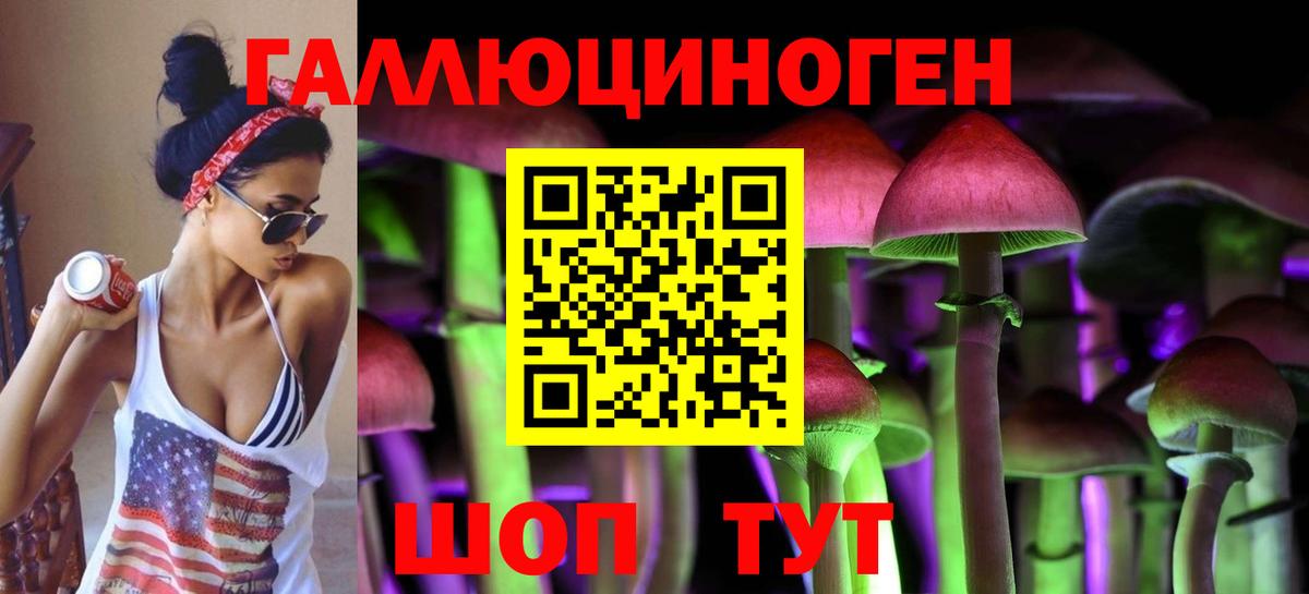 Сызрань  купить наркотик  Галлюциногенные грибы Magic Shrooms  Вход с VPN  Галлюциногенные грибы мицелий 